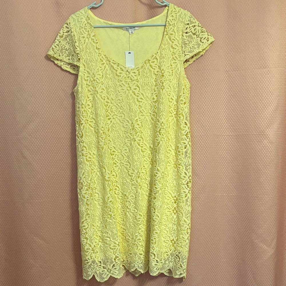 NWT Francesca's Collections Soft Yellow Lace Dress